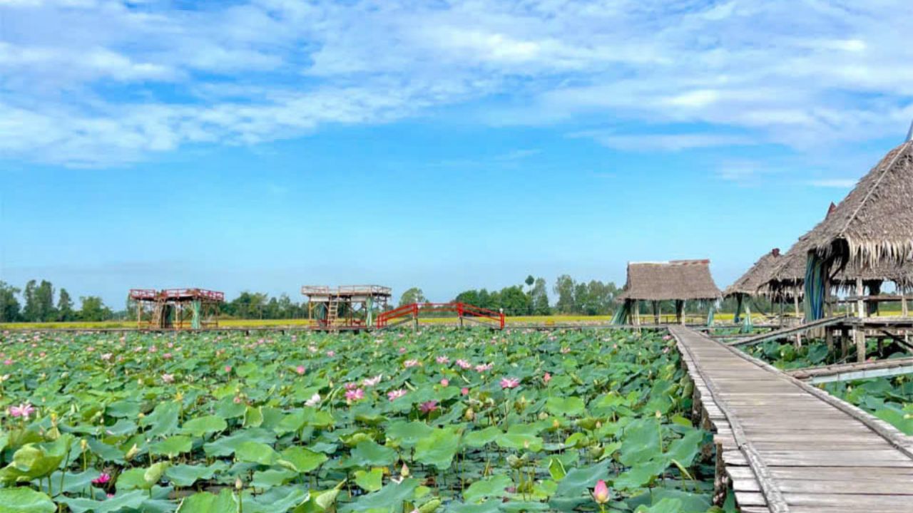 Thuê xe đi Đồng Tháp từ TPHCM - Hành trình về vùng đất sen hồng