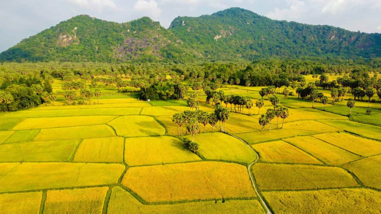 Thuê xe đi An Giang từ TPHCM - Hành trình về vùng đất Bảy Núi linh thiêng